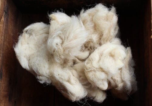 Raw St. Croix Sheep Hair