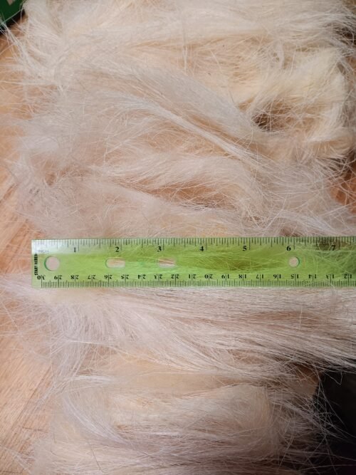 Raw, Unwashed St  Croix Ram Hair SE2SE, Super Long!